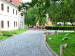 Drazicky-2024-965.JPG